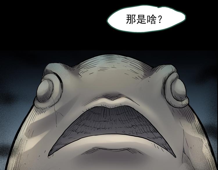 第204话 梦之舞人（上）13