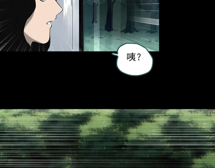 第330话 贞节橄榄树（上）39