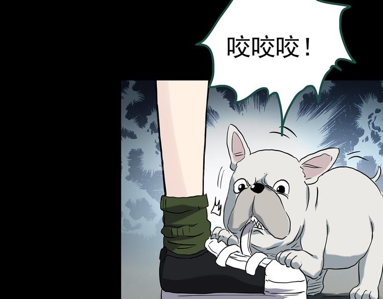 第146话 怪之狗 五66