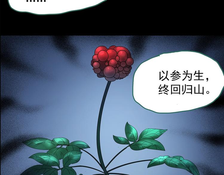 第210话 人参村（中）99