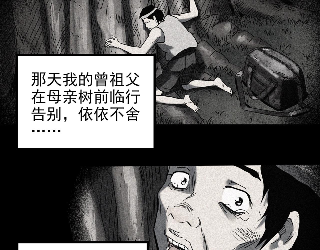 第427话 母亲树84