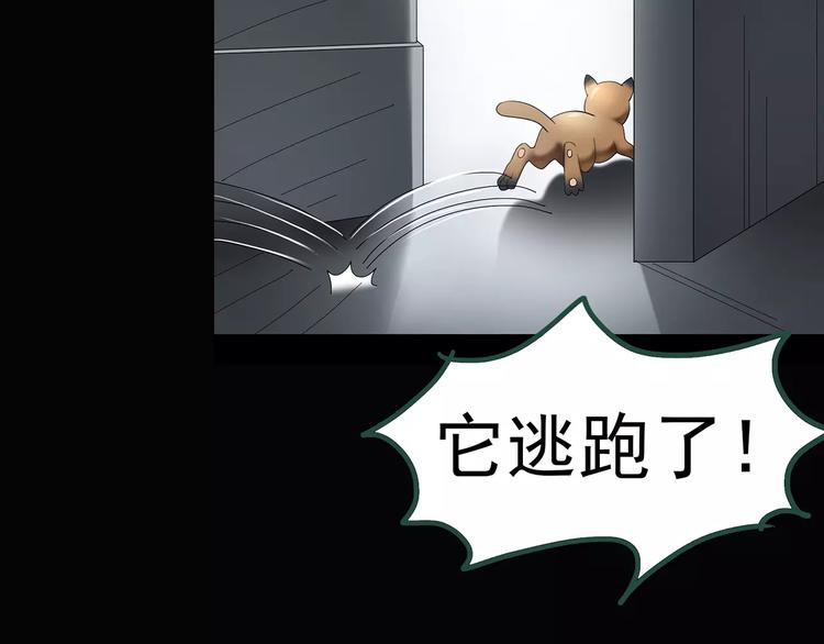 第63话 木偶（二）72