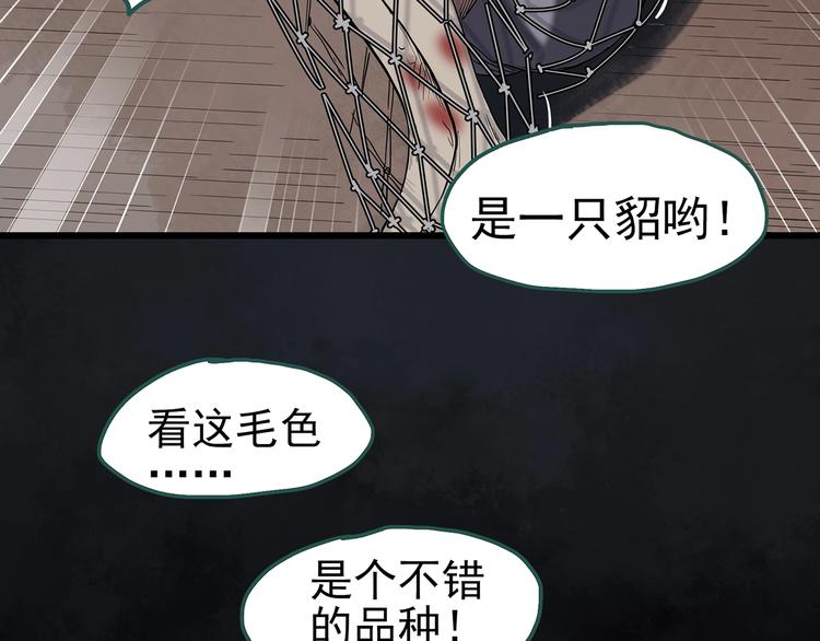 第270话 貂皮大衣 中63