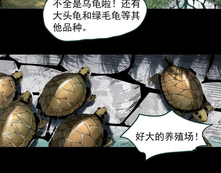 第374话 龟之怪谈（上）24