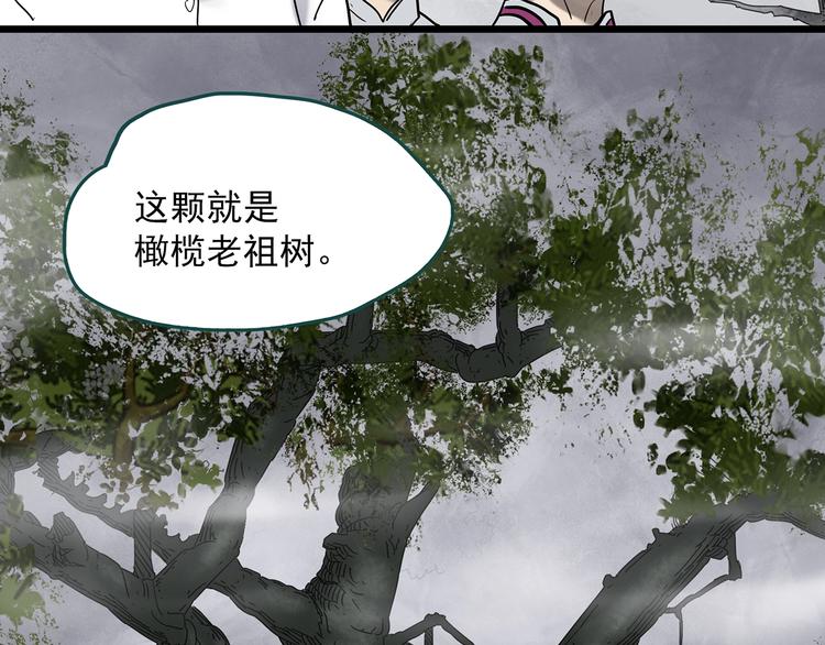 第331话 贞节橄榄树（下）44