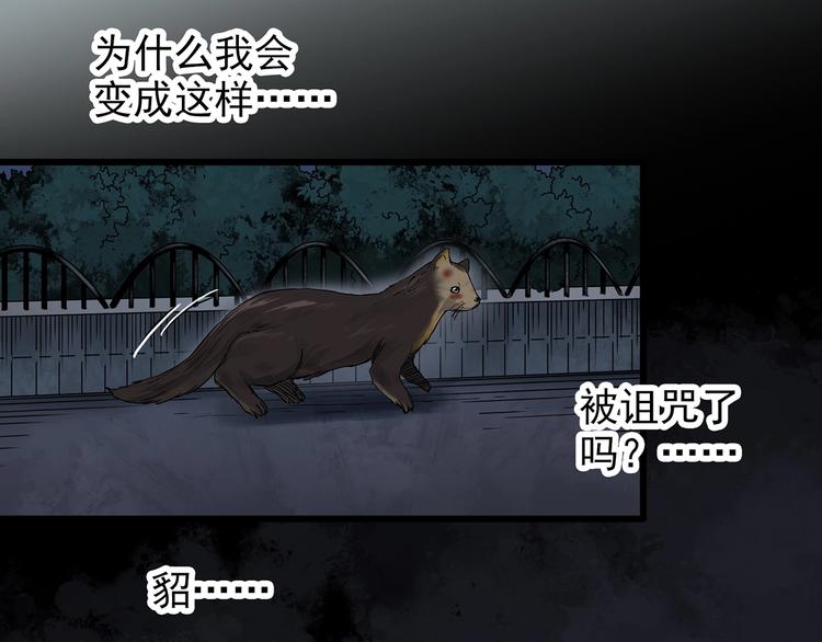 第270话 貂皮大衣 中41