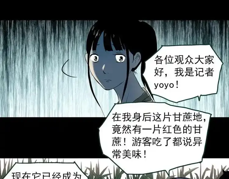 第375话 甘蔗地38