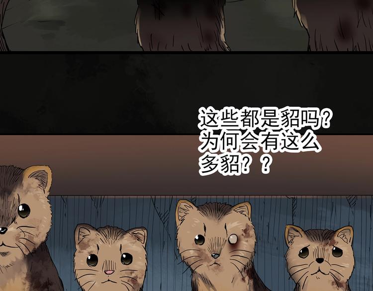 第271话 貂皮大衣 下25