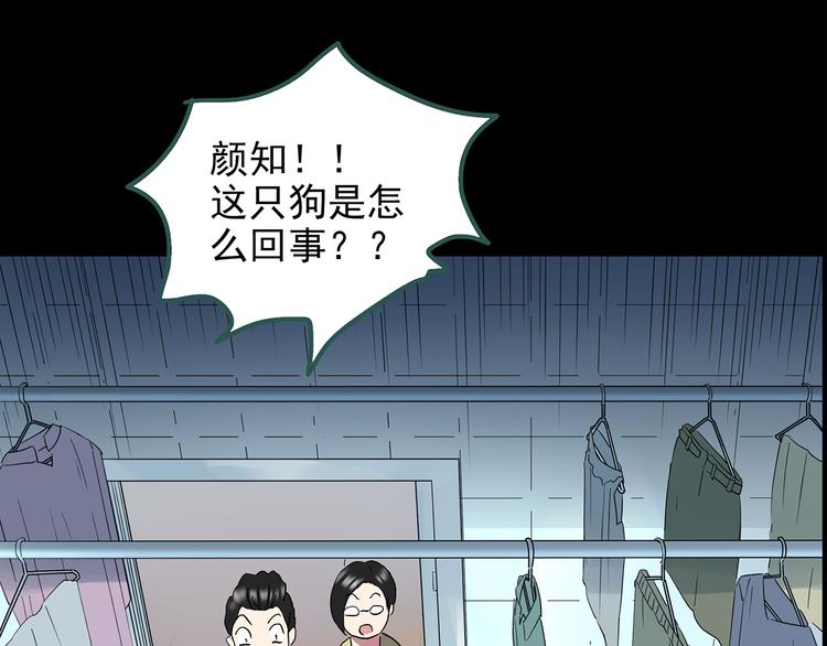 第144话 怪之狗 三65
