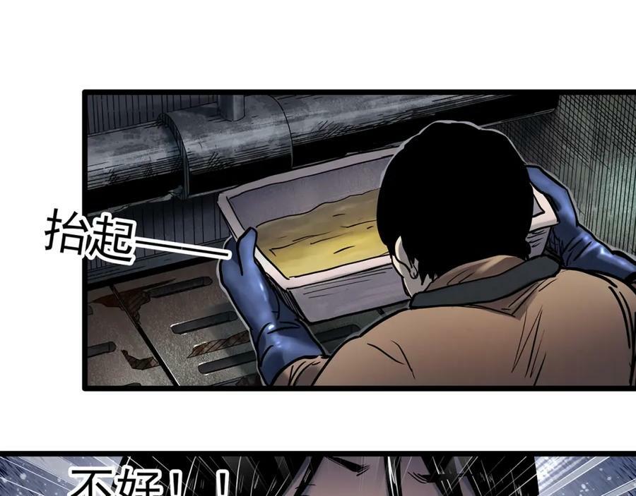 第453话 猪圈【下】11
