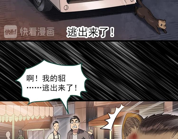 第271话 貂皮大衣 下11