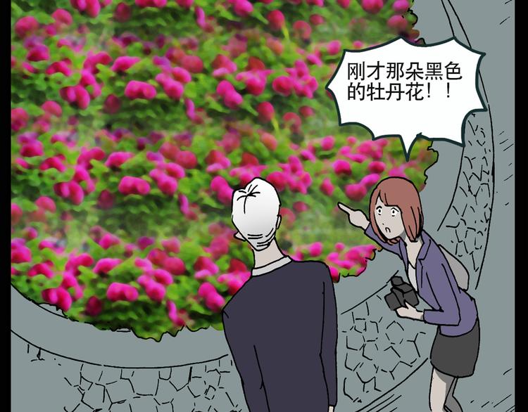 第13话 黑色牡丹花· 照片126