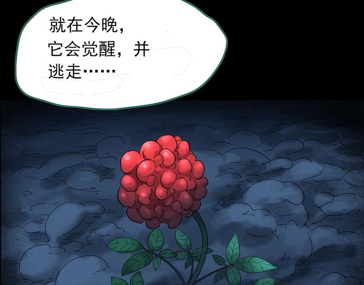第210话 人参村（中）112