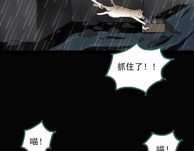 第31话 怪之猫（下）70
