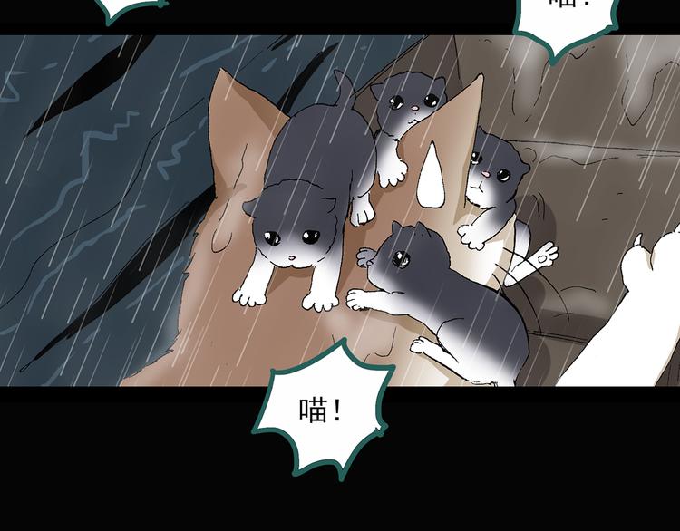 第31话 怪之猫（下）71