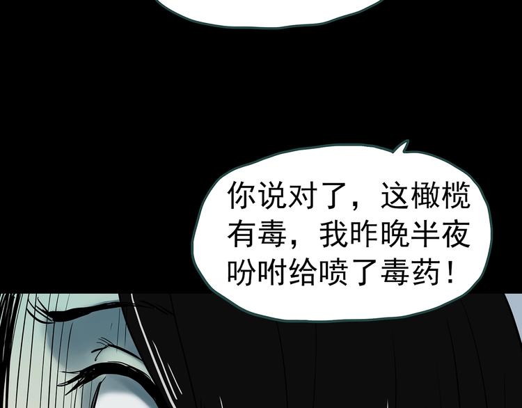 第331话 贞节橄榄树（下）93