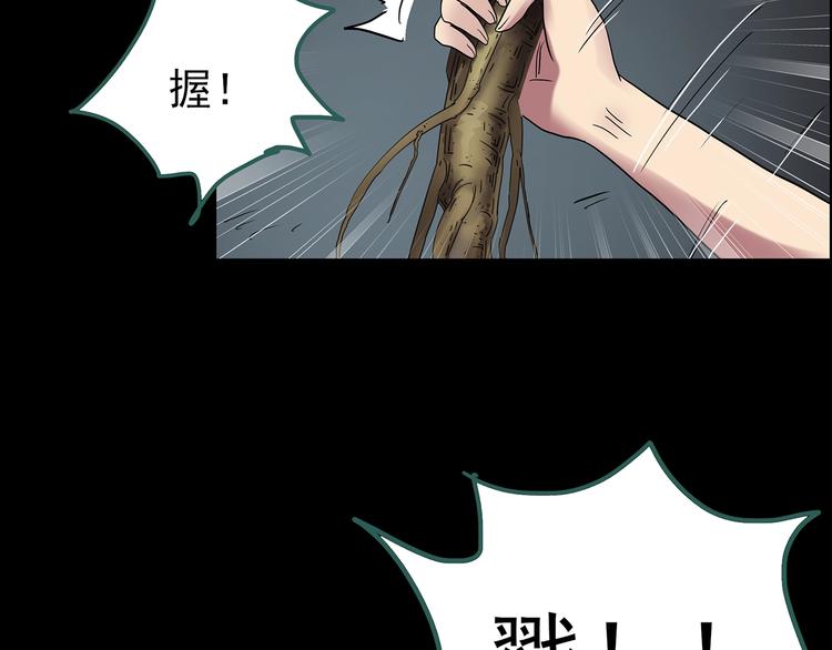 第211话 人参村（下）47