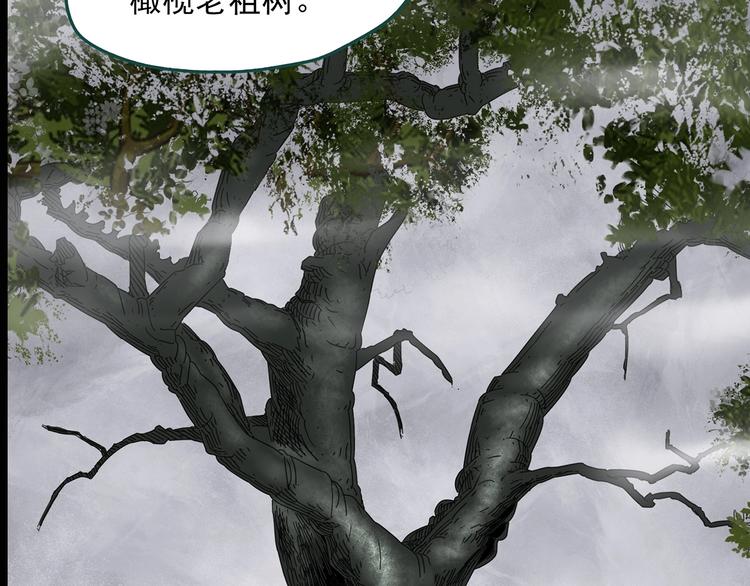 第330话 贞节橄榄树（上）127