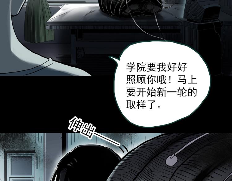 第375话 龟之怪谈（下）95