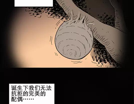 第12话 配偶树（下）43