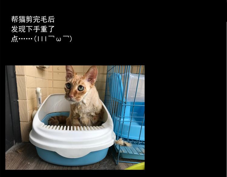 第223话 遗失的记忆（七）92