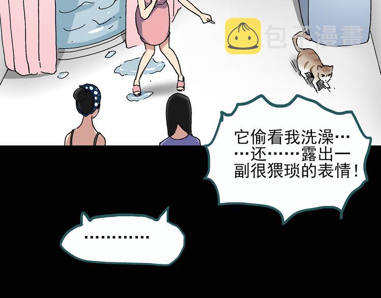 第28话 怪之猫(上)32