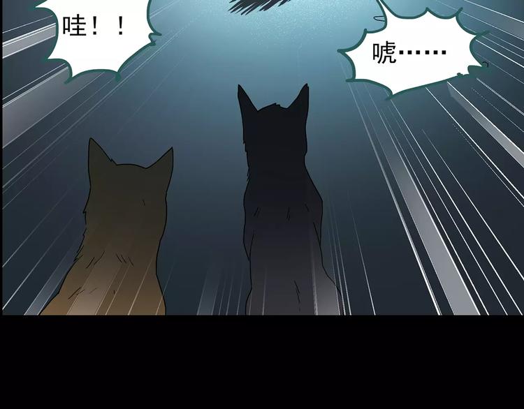 第73话 蛇之诅咒（五）110