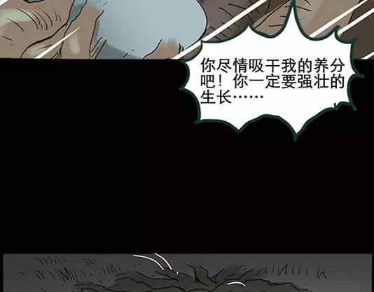 第12话 配偶树（下）55