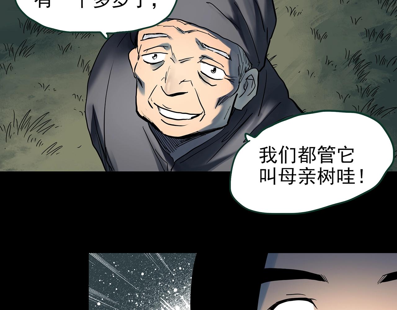 第427话 母亲树43