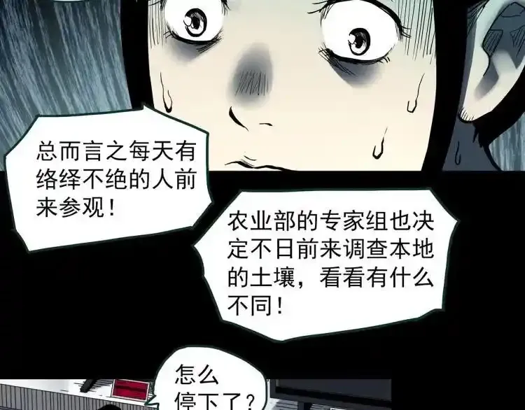 第375话 甘蔗地41