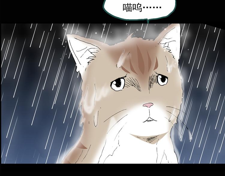 第31话 怪之猫（下）14