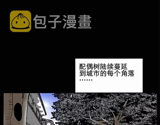 第12话 配偶树（下）66
