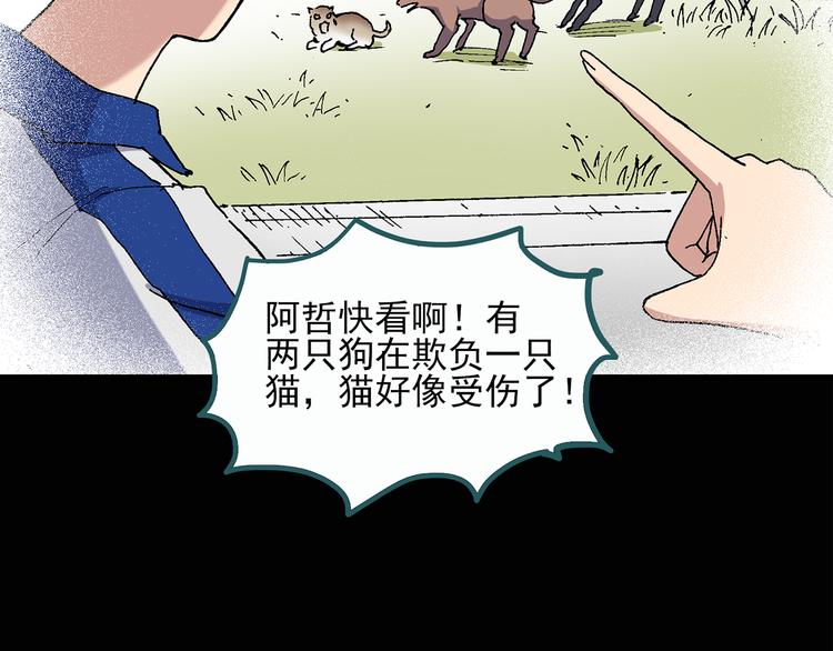 第28话 怪之猫(上)9