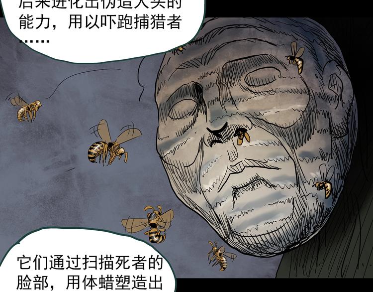 第334话 人头蜂巢（上）65