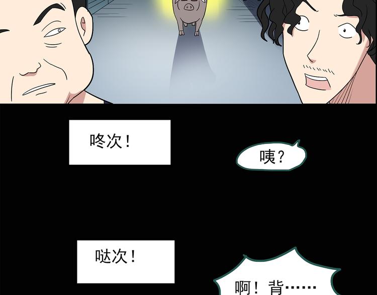 第54话 背宝金猪（中）5