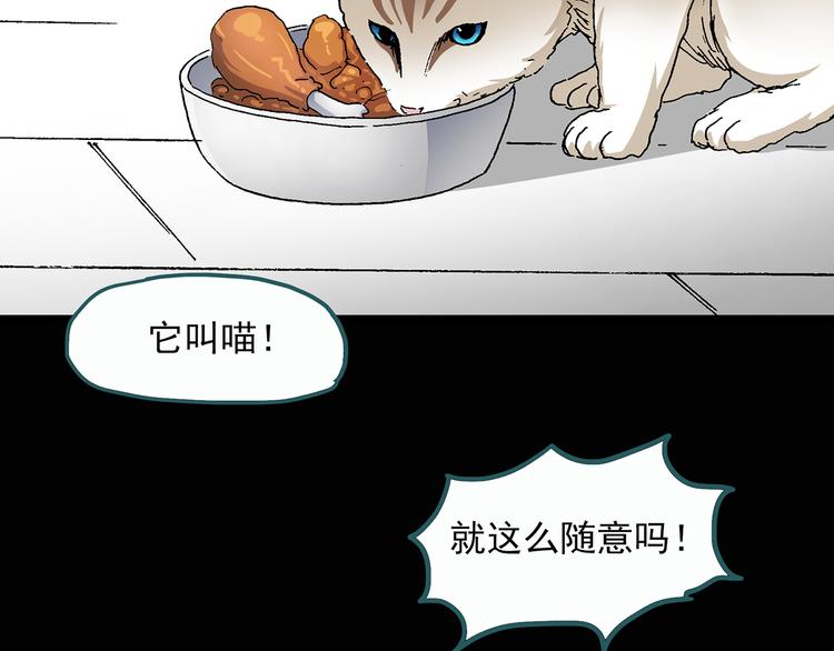 第28话 怪之猫(上)4