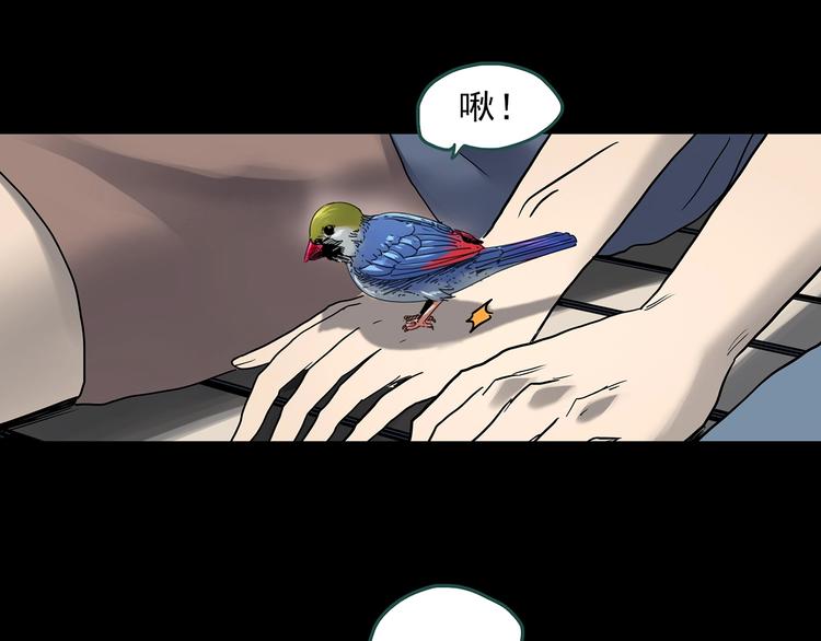 第360话 VR愿77