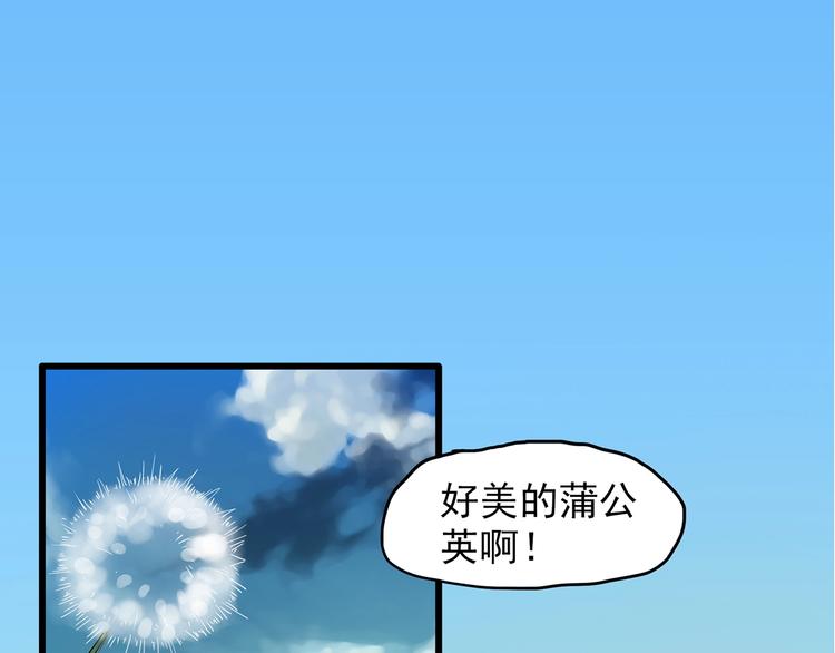 第215话 美丽的蒲公英(上)4