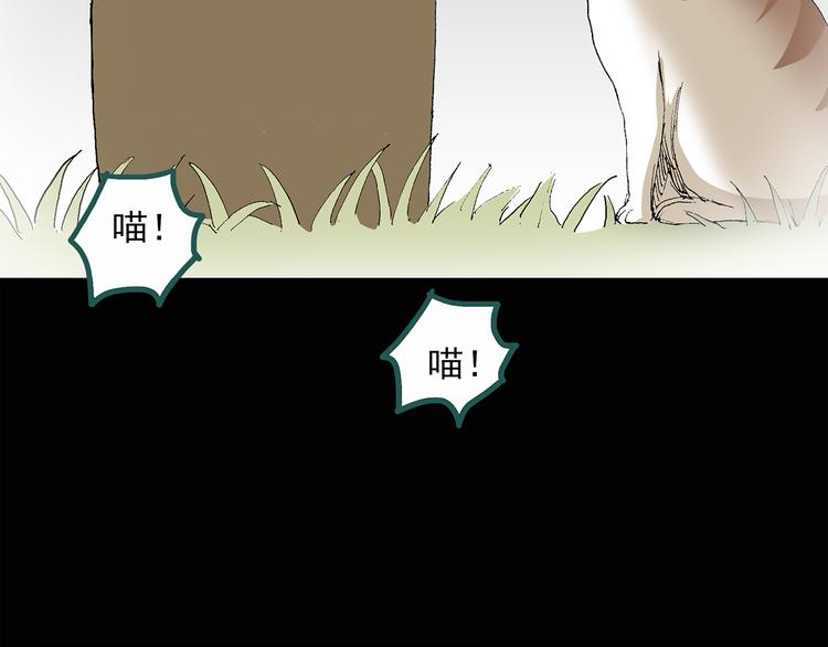 第31话 怪之猫（下）38