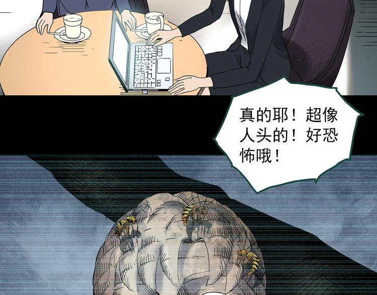 第335话 人头蜂巢（下）121