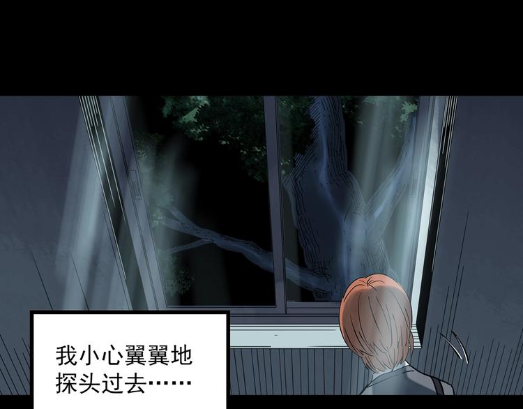第357话 树上影 上44