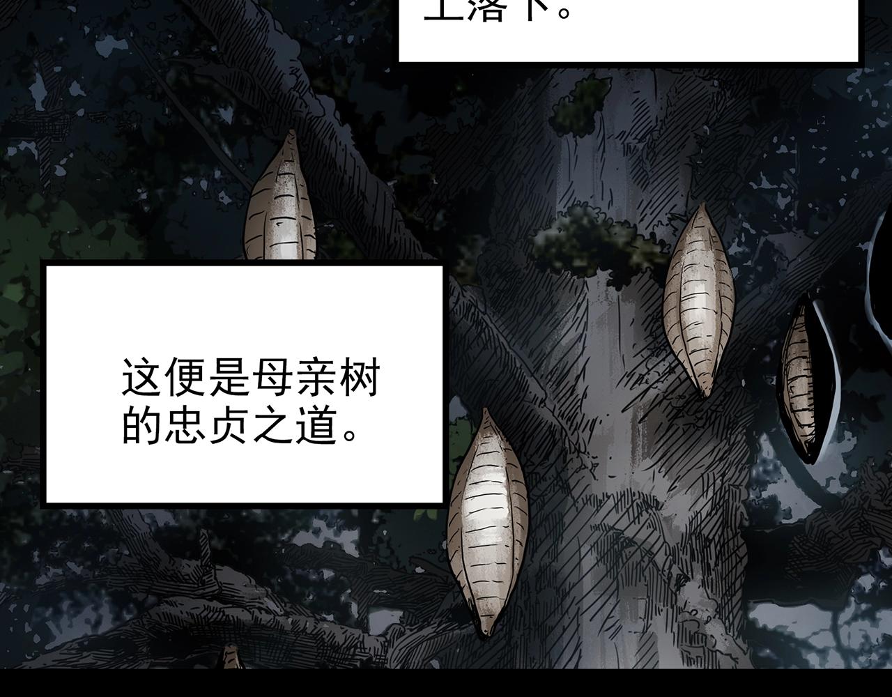 第427话 母亲树93