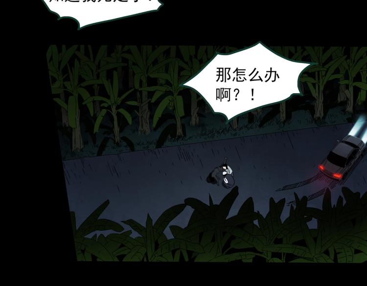 第376话 甘蔗地91