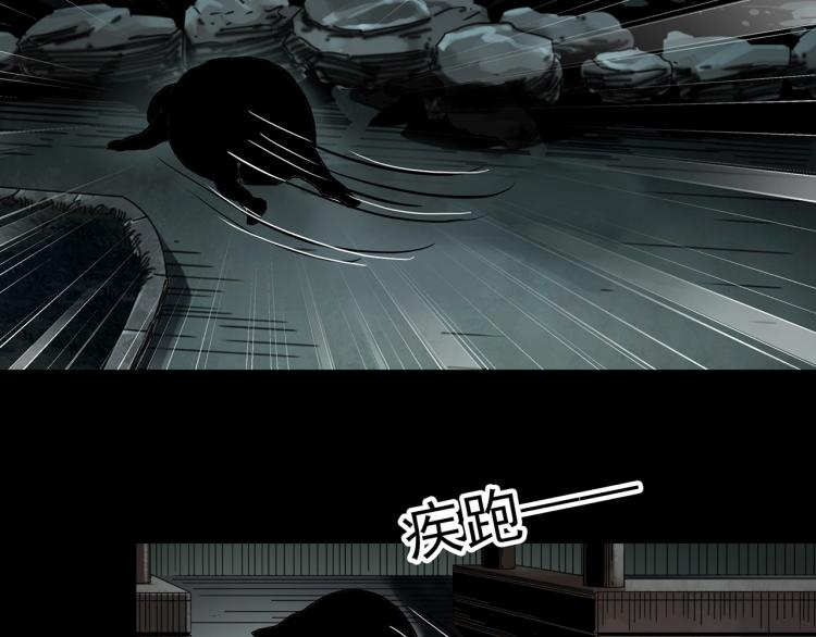 第374话 龟之怪谈（上）42