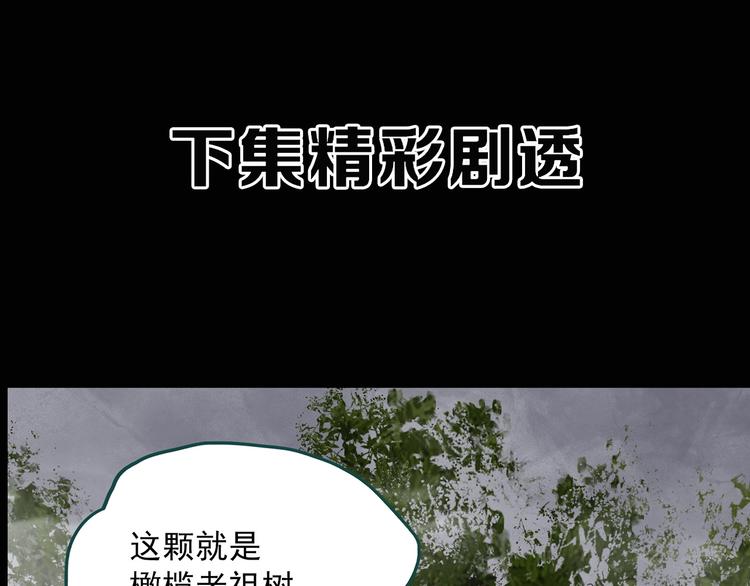 第330话 贞节橄榄树（上）126