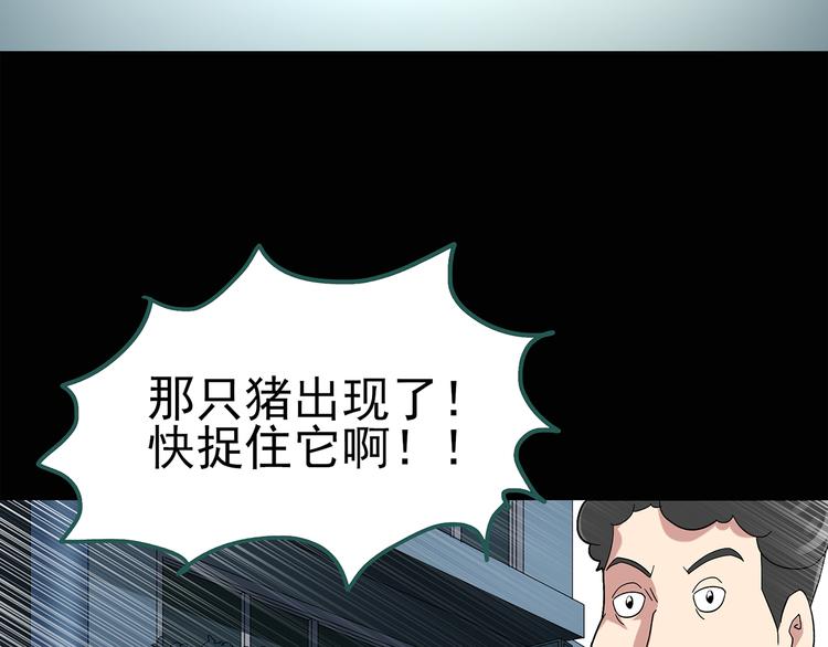 第54话 背宝金猪（中）8