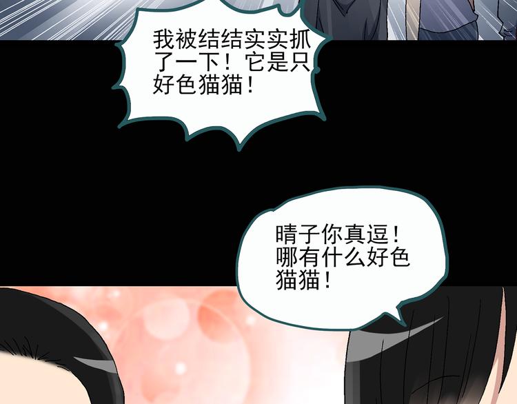 第28话 怪之猫(上)19