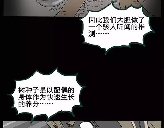 第12话 配偶树（下）48