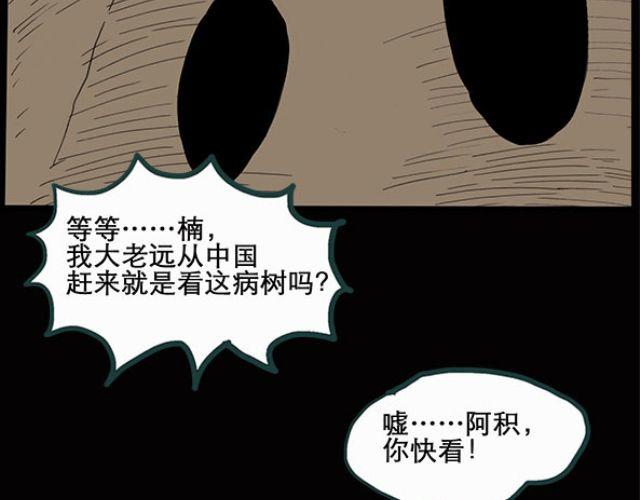 第10话 配偶树（上）7