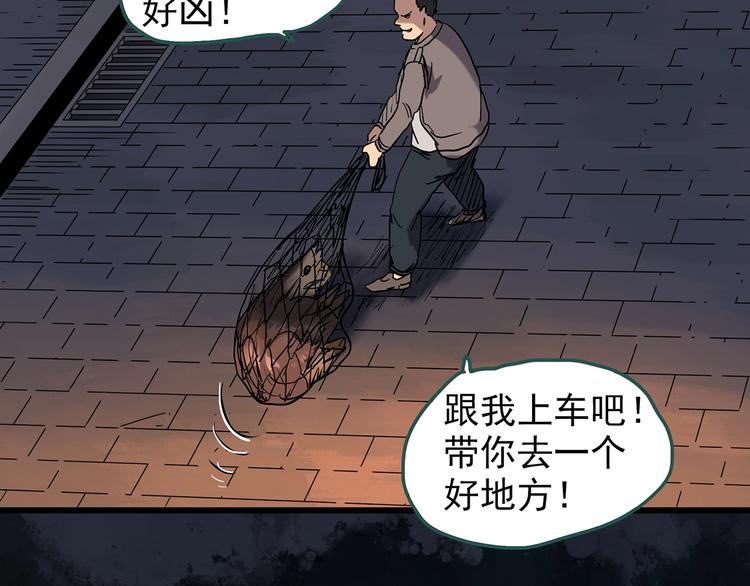 第270话 貂皮大衣 中54